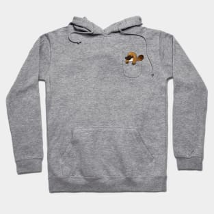 Platypus in a Pocket Hoodie